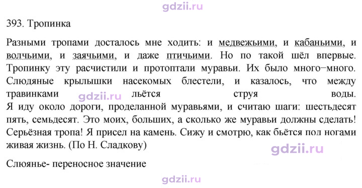 Скан решения номера 393