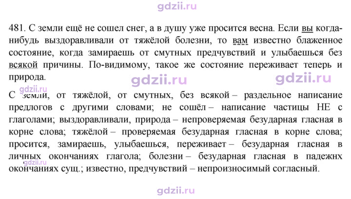 Скан решения номера 481