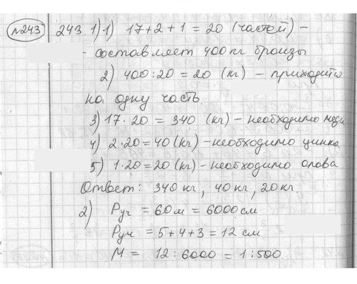 Скан решения номера 243