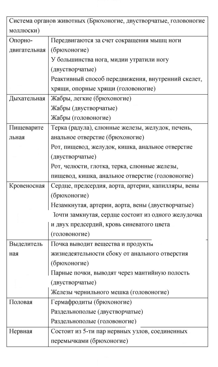 Скан решения номера 104