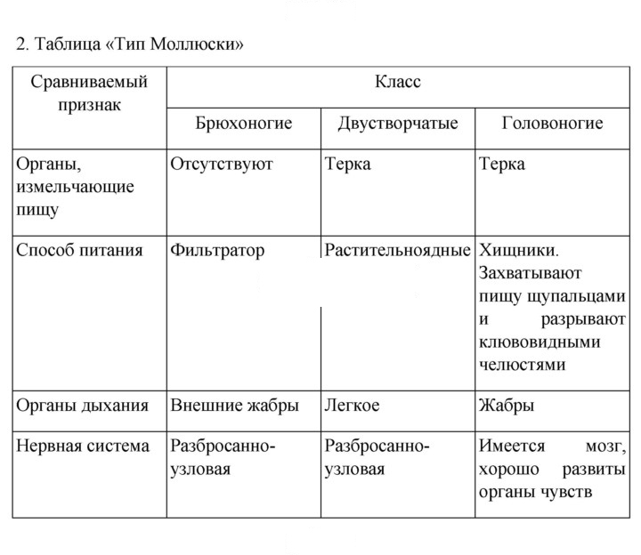 Скан решения номера 105
