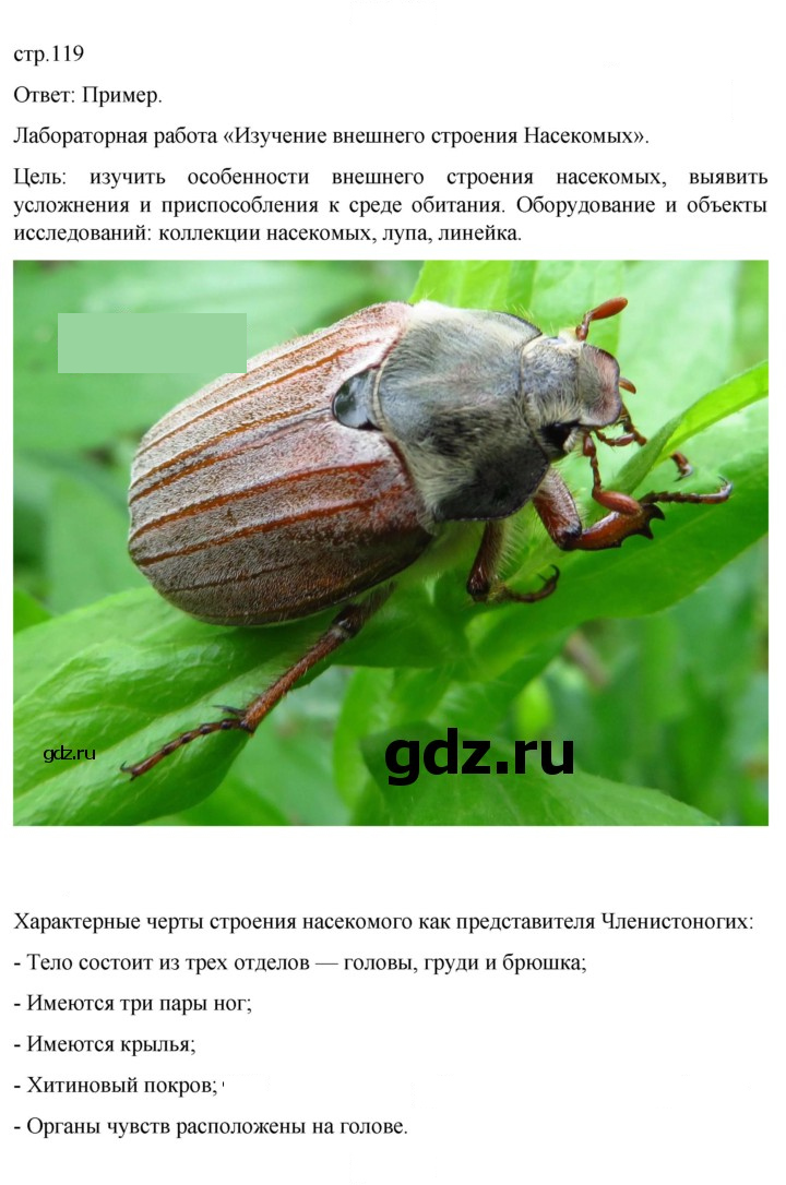 Скан решения номера 119