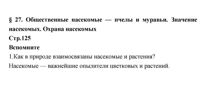 Скан решения номера 125