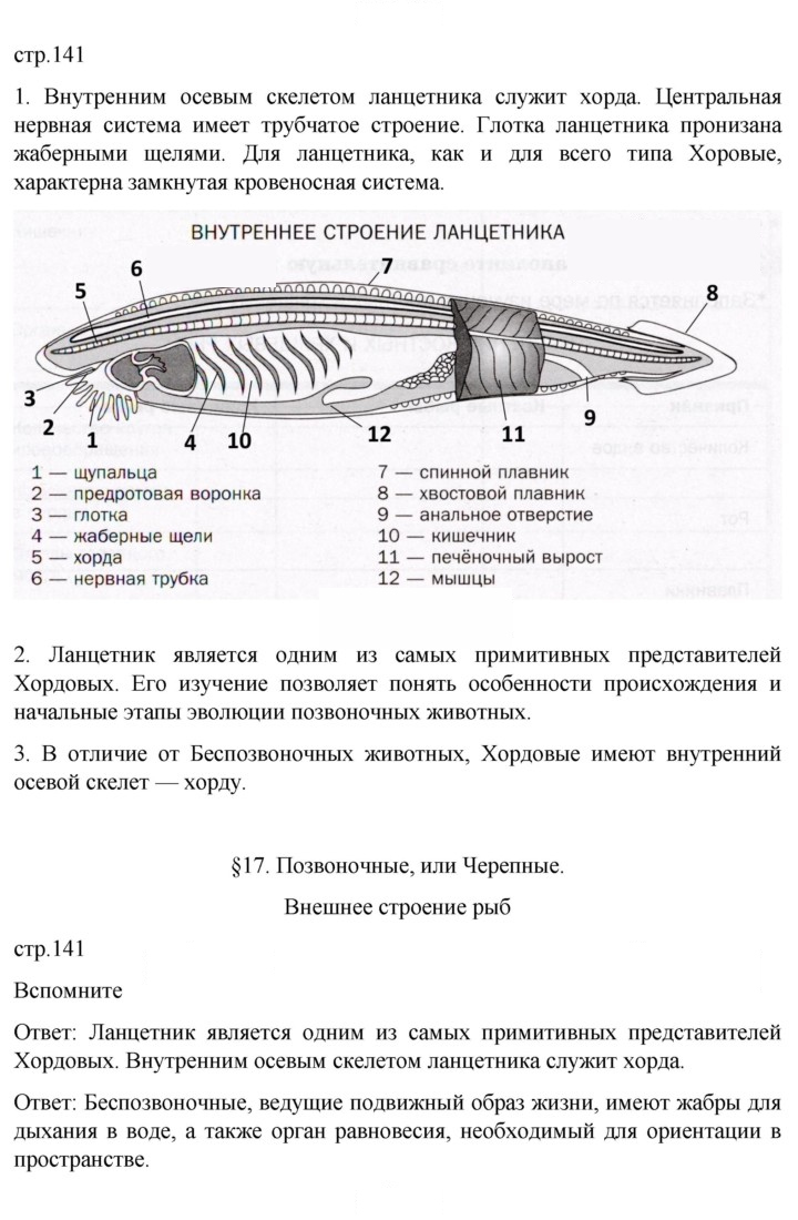 Скан решения номера 141