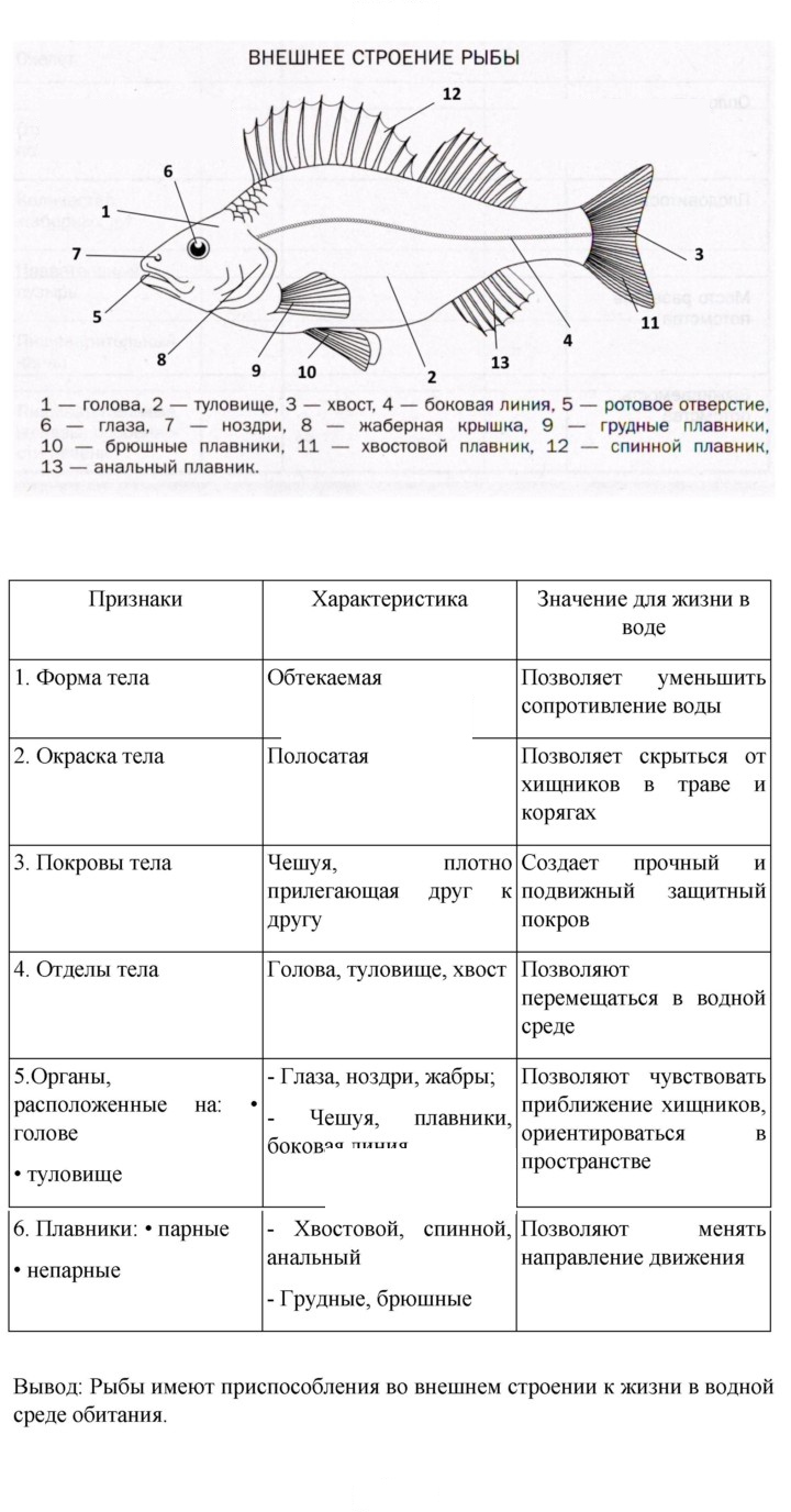 Скан решения номера 144