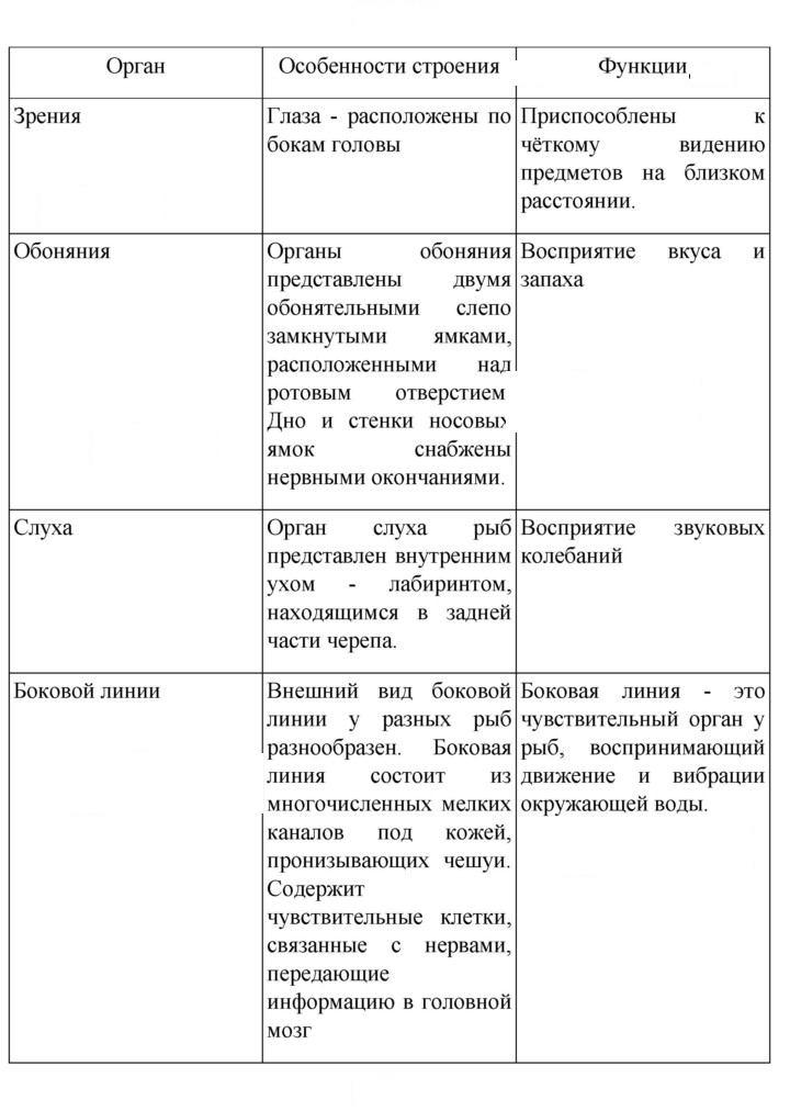 Скан решения номера 145