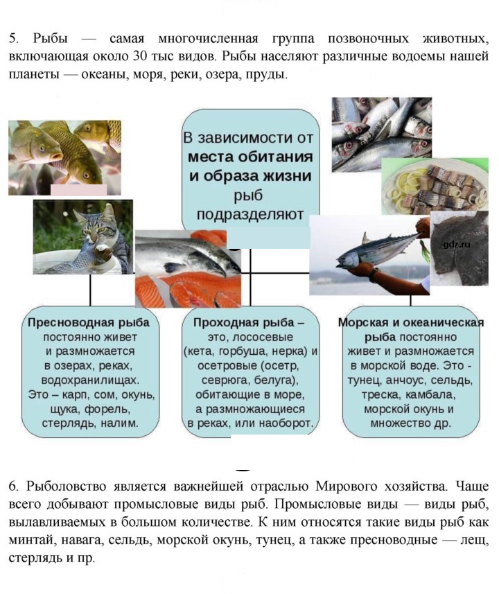 Скан решения номера 145
