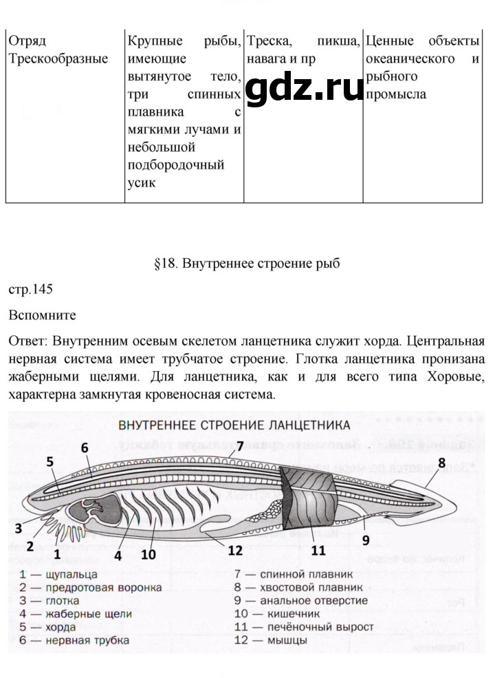 Скан решения номера 145
