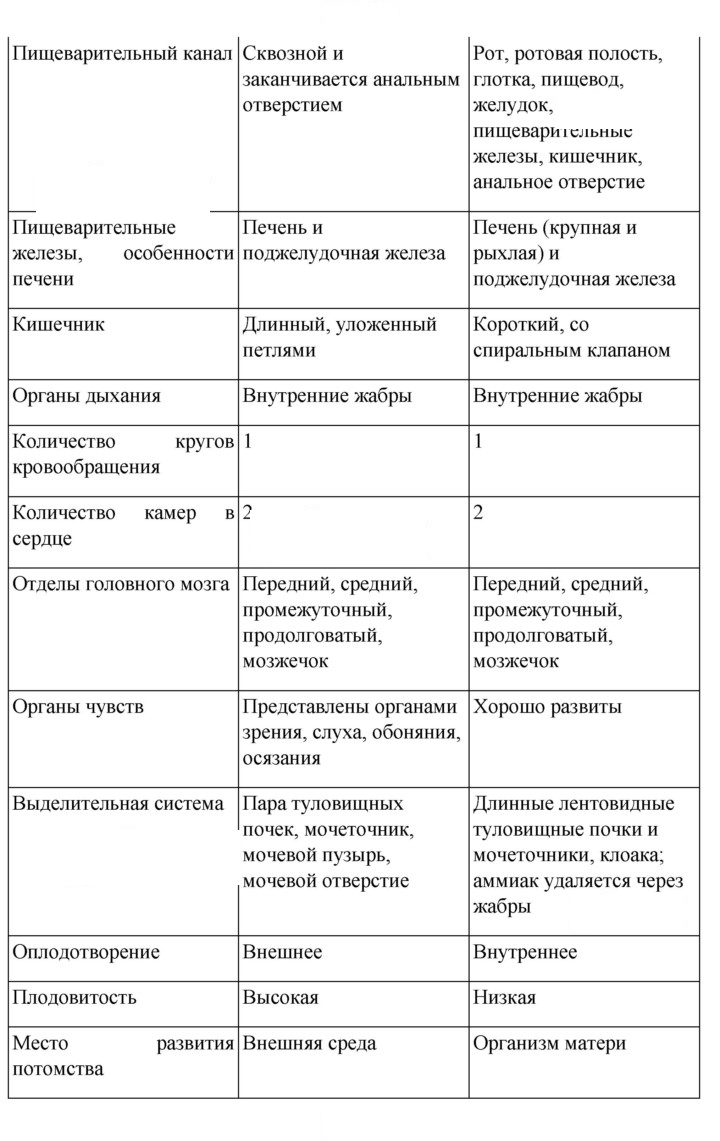 Скан решения номера 157
