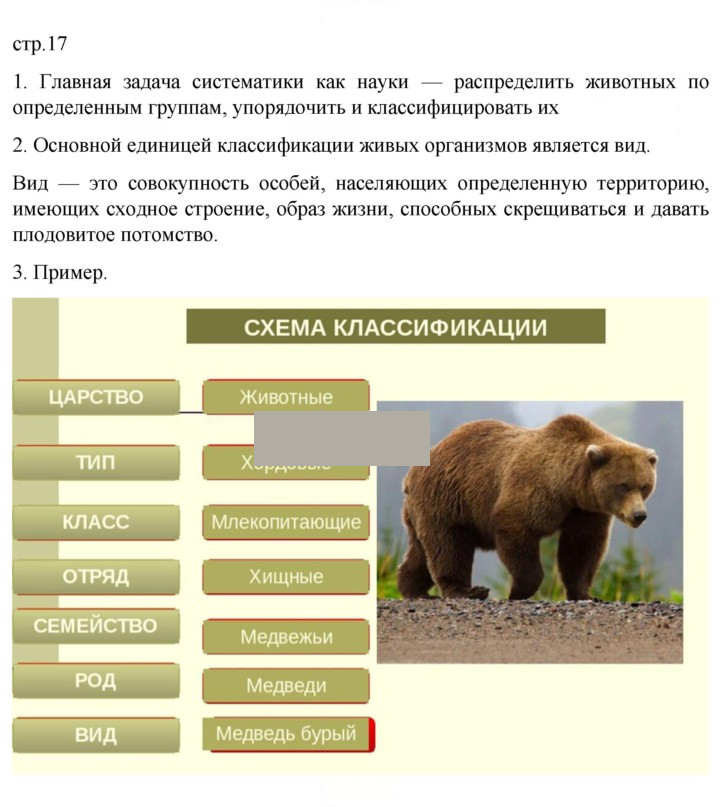 Скан решения номера 17
