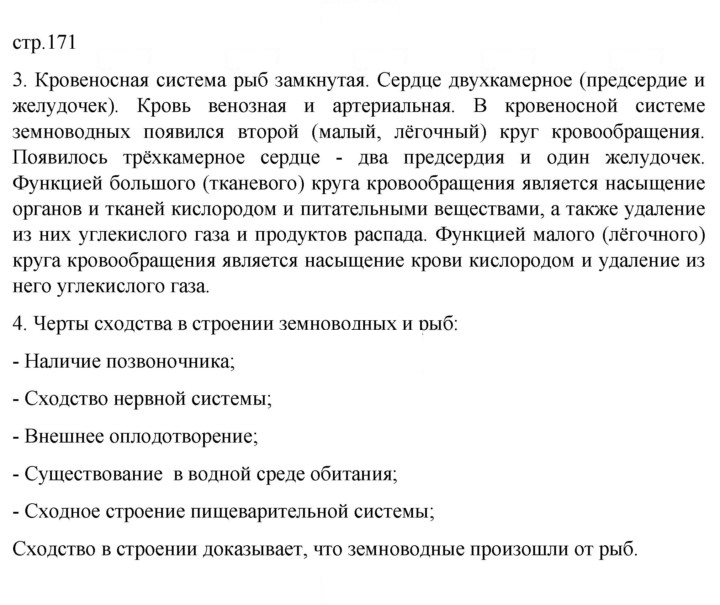 Скан решения номера 171