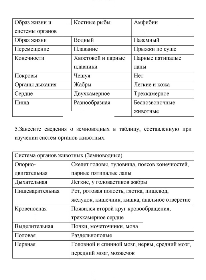 Скан решения номера 173