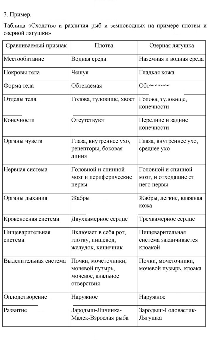 Скан решения номера 175