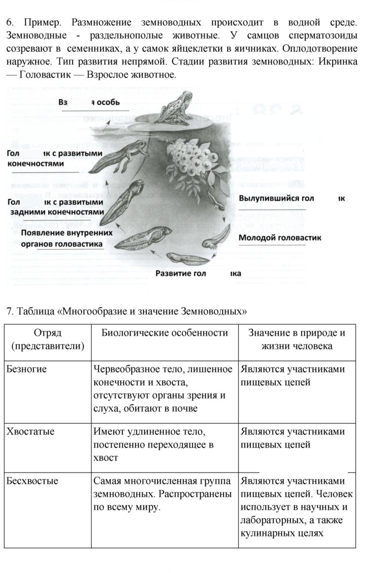 Скан решения номера 176