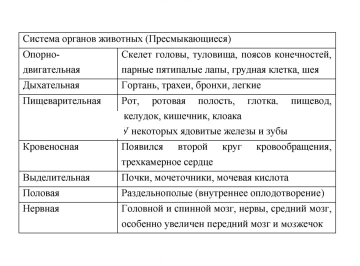 Скан решения номера 185
