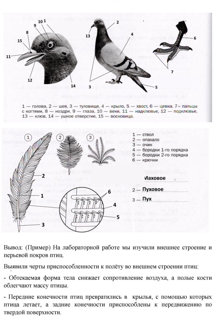Скан решения номера 198