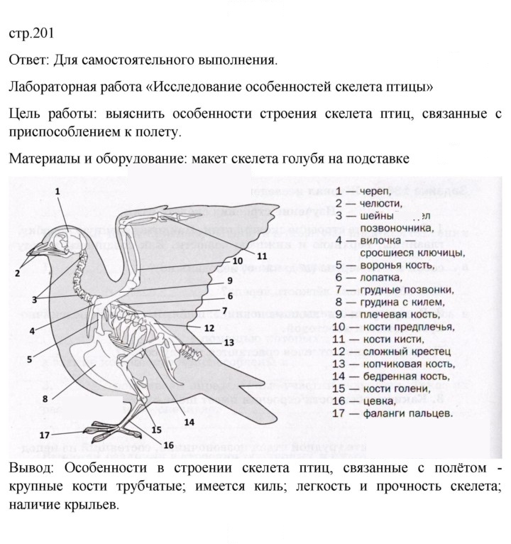 Скан решения номера 201