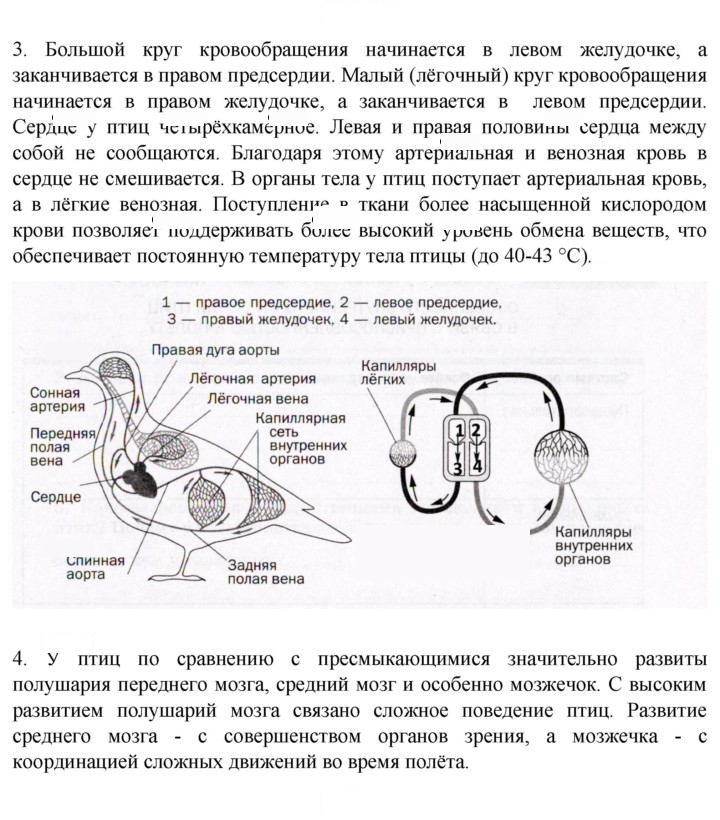 Скан решения номера 206