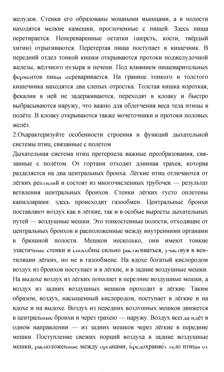 Скан решения номера 206