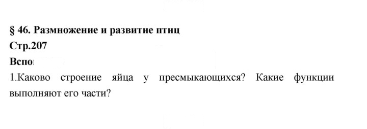 Скан решения номера 207