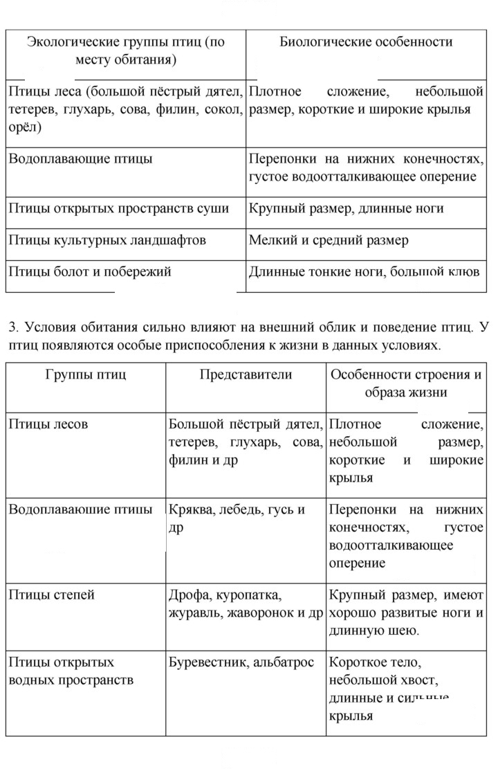 Скан решения номера 221