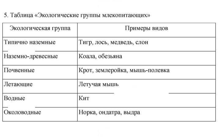 Скан решения номера 234
