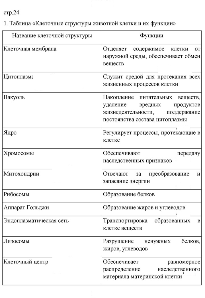 Скан решения номера 24
