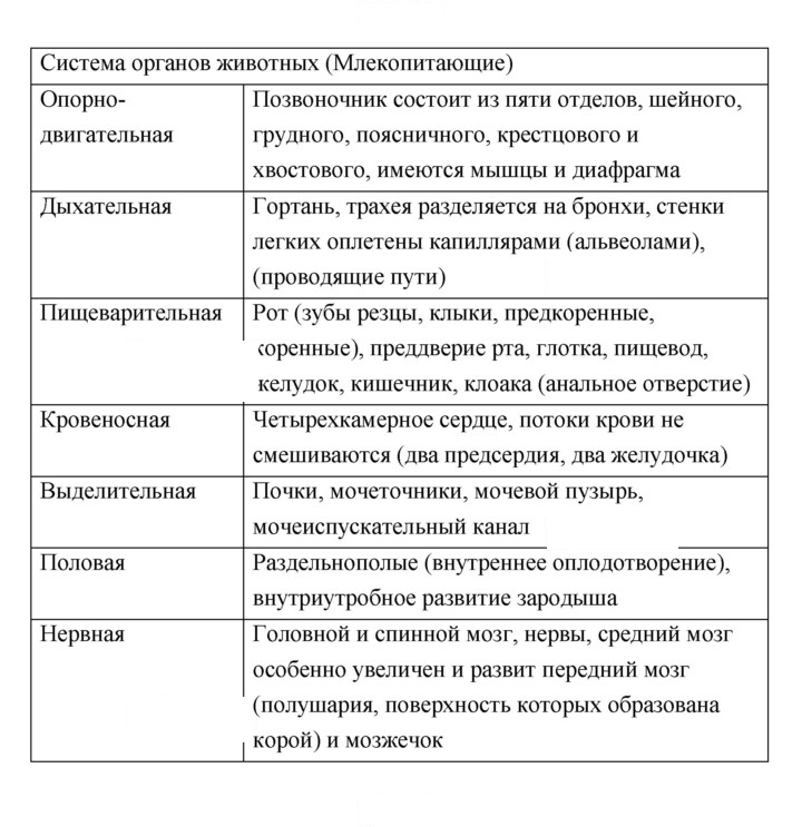 Скан решения номера 242