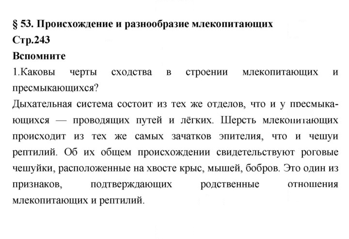 Скан решения номера 242