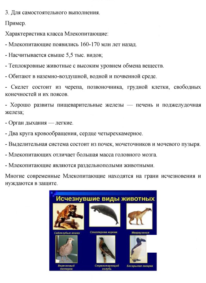 Скан решения номера 244