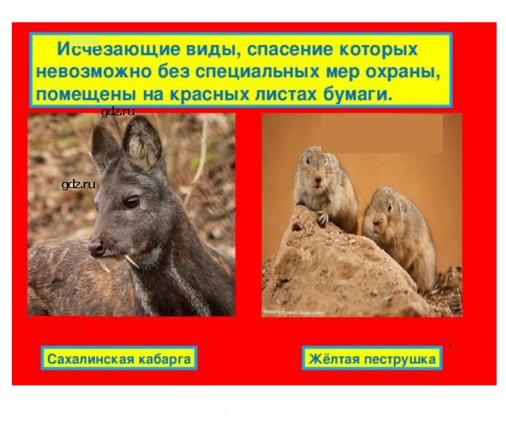 Скан решения номера 244