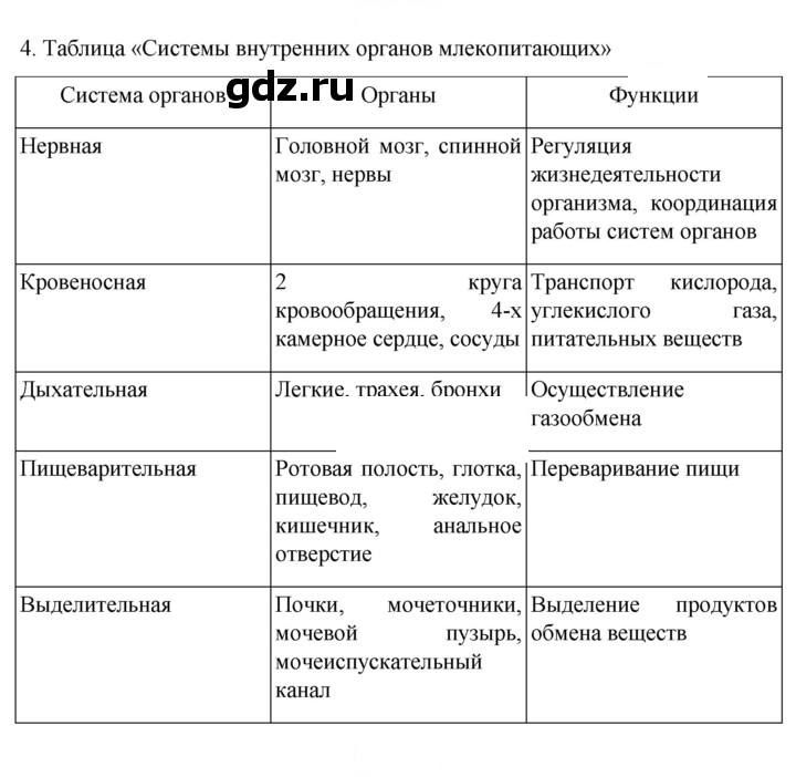 Скан решения номера 244