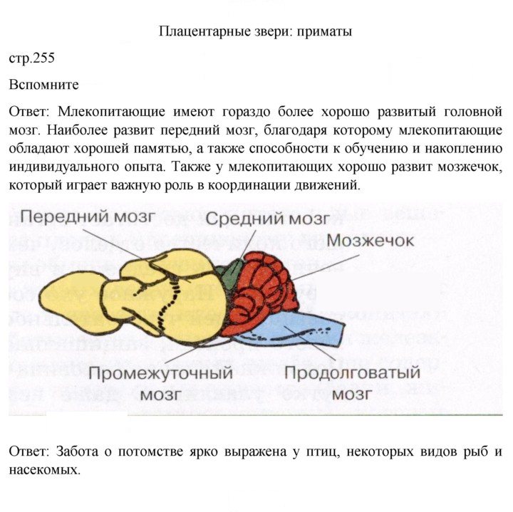 Скан решения номера 255