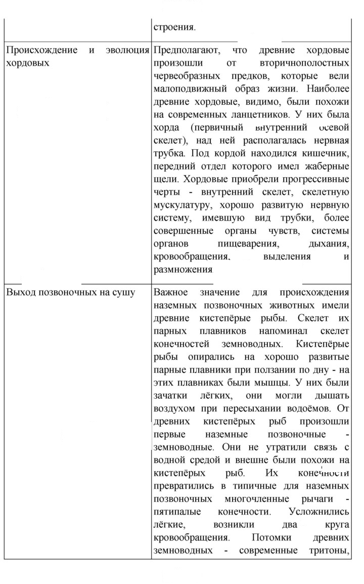 Скан решения номера 279