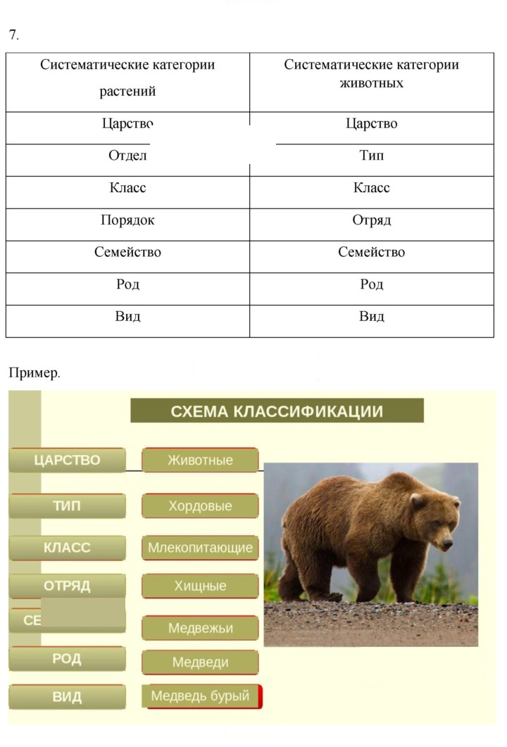 Скан решения номера 280