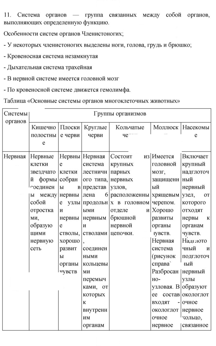 Скан решения номера 280