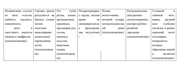 Скан решения номера 282