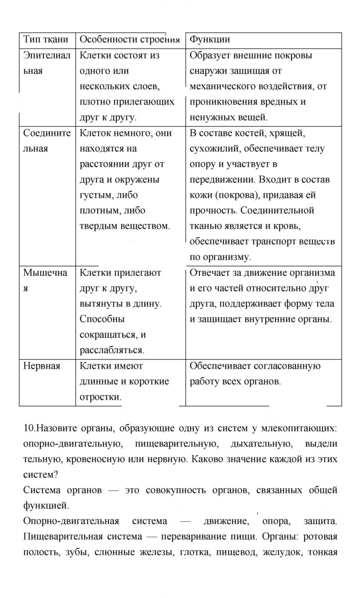 Скан решения номера 282