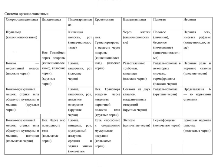 Скан решения номера 282