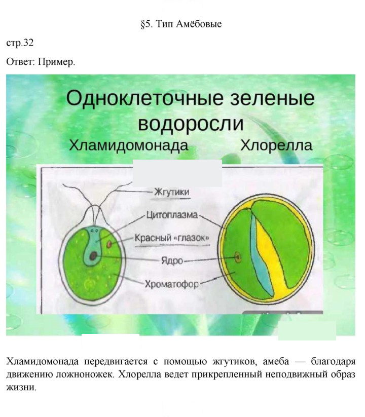 Скан решения номера 32