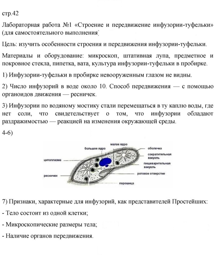 Скан решения номера 42