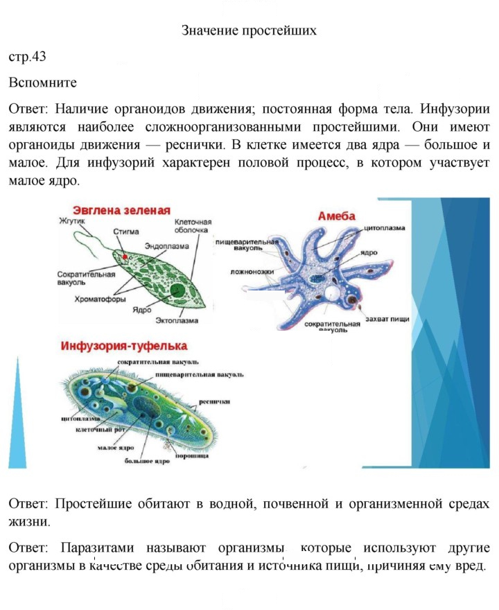 Скан решения номера 43