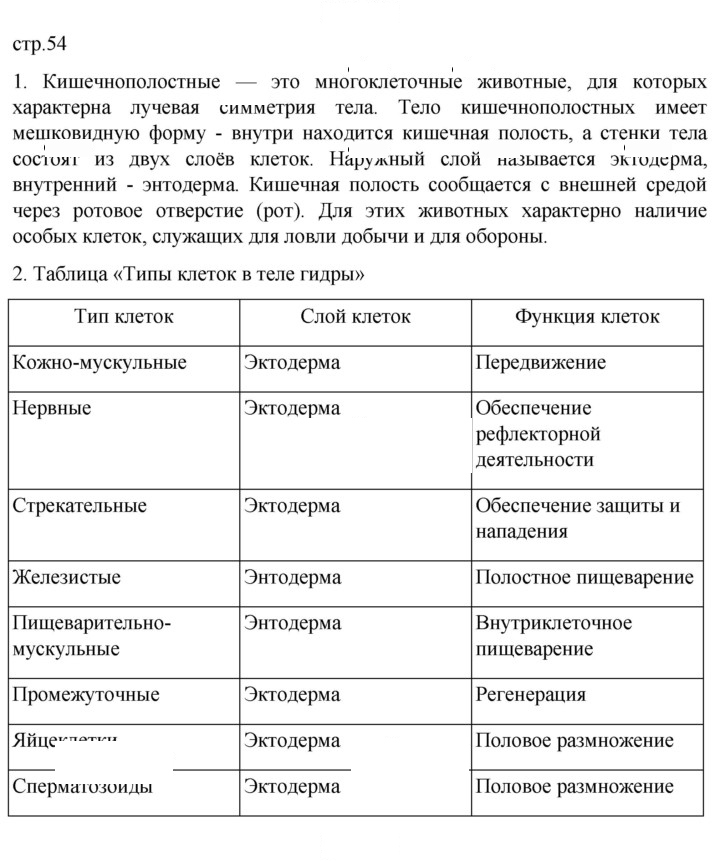 Скан решения номера 54