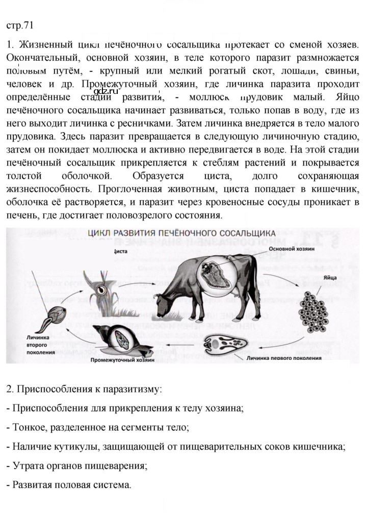 Скан решения номера 71