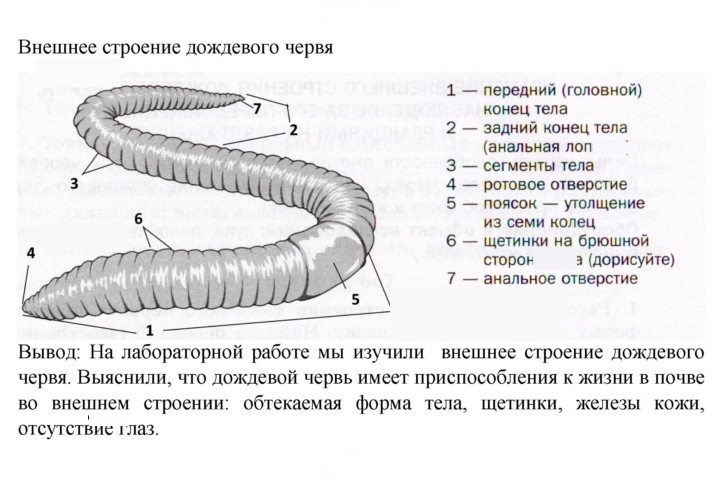 Скан решения номера 81