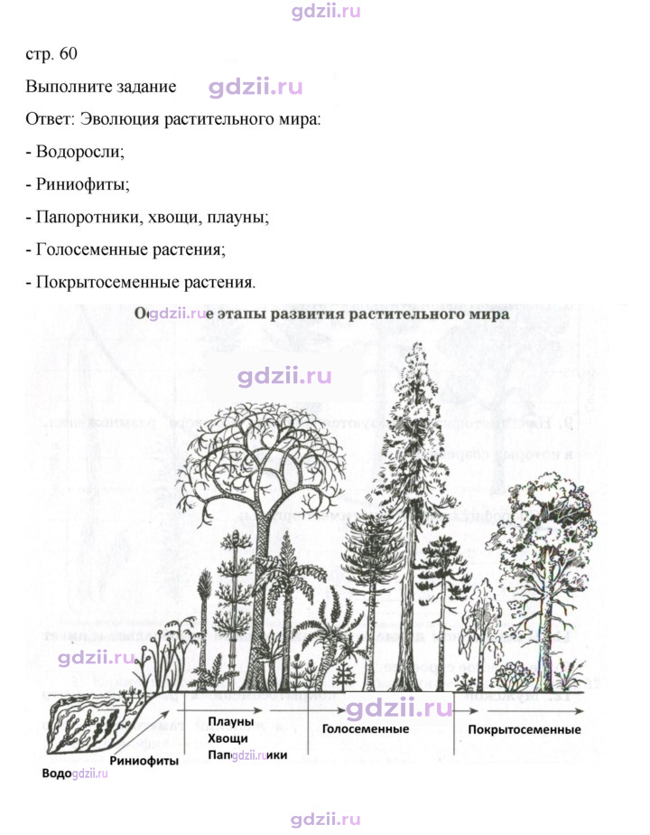 Скан решения номера стр. 60