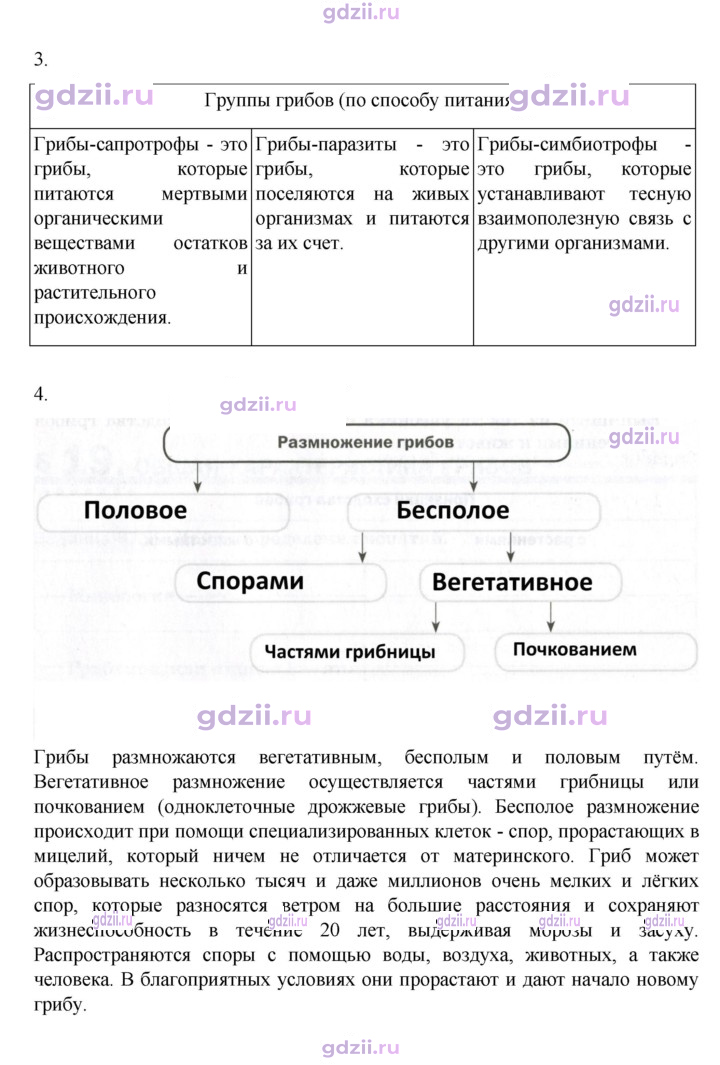 Скан решения номера стр. 146