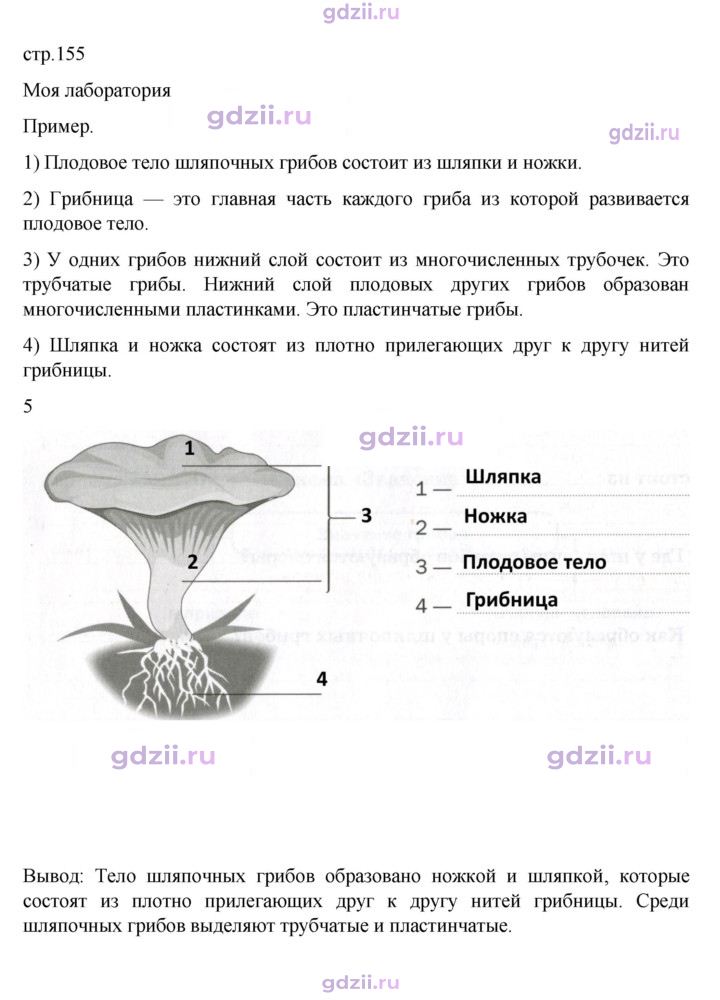 Скан решения номера стр. 155