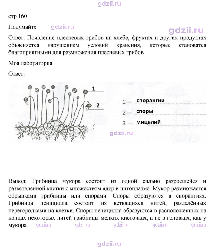 Скан решения номера стр. 160