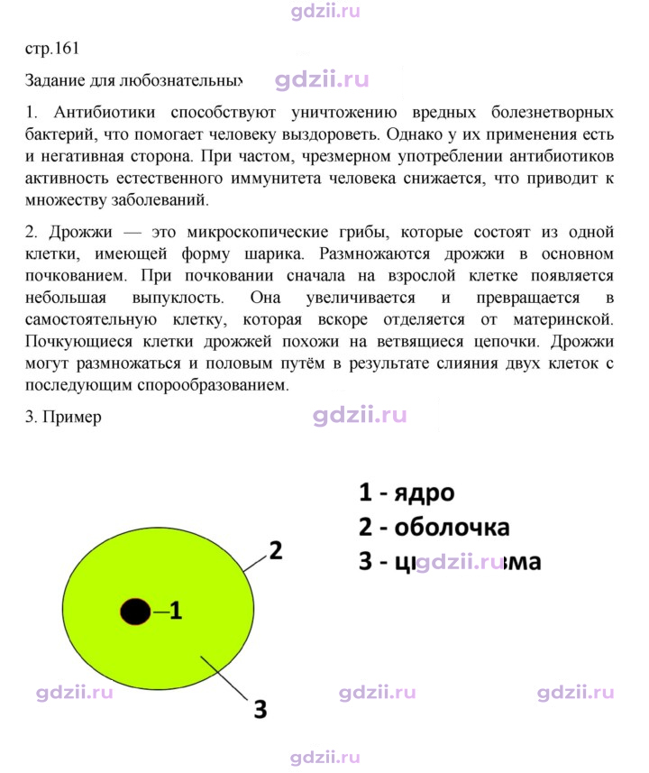 Скан решения номера стр. 161